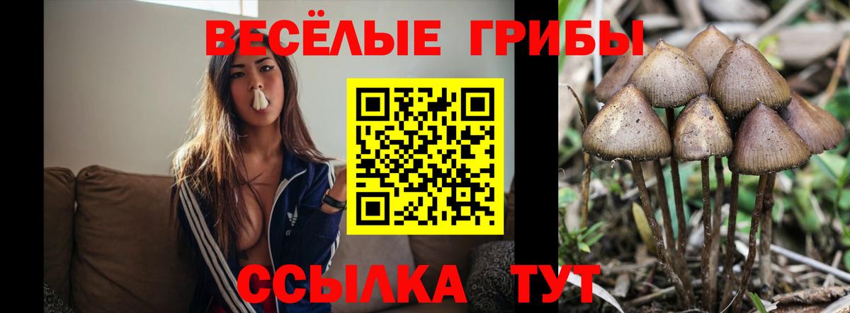 Галлюциногенные грибы мицелий  Вход с VPN  Дмитров 